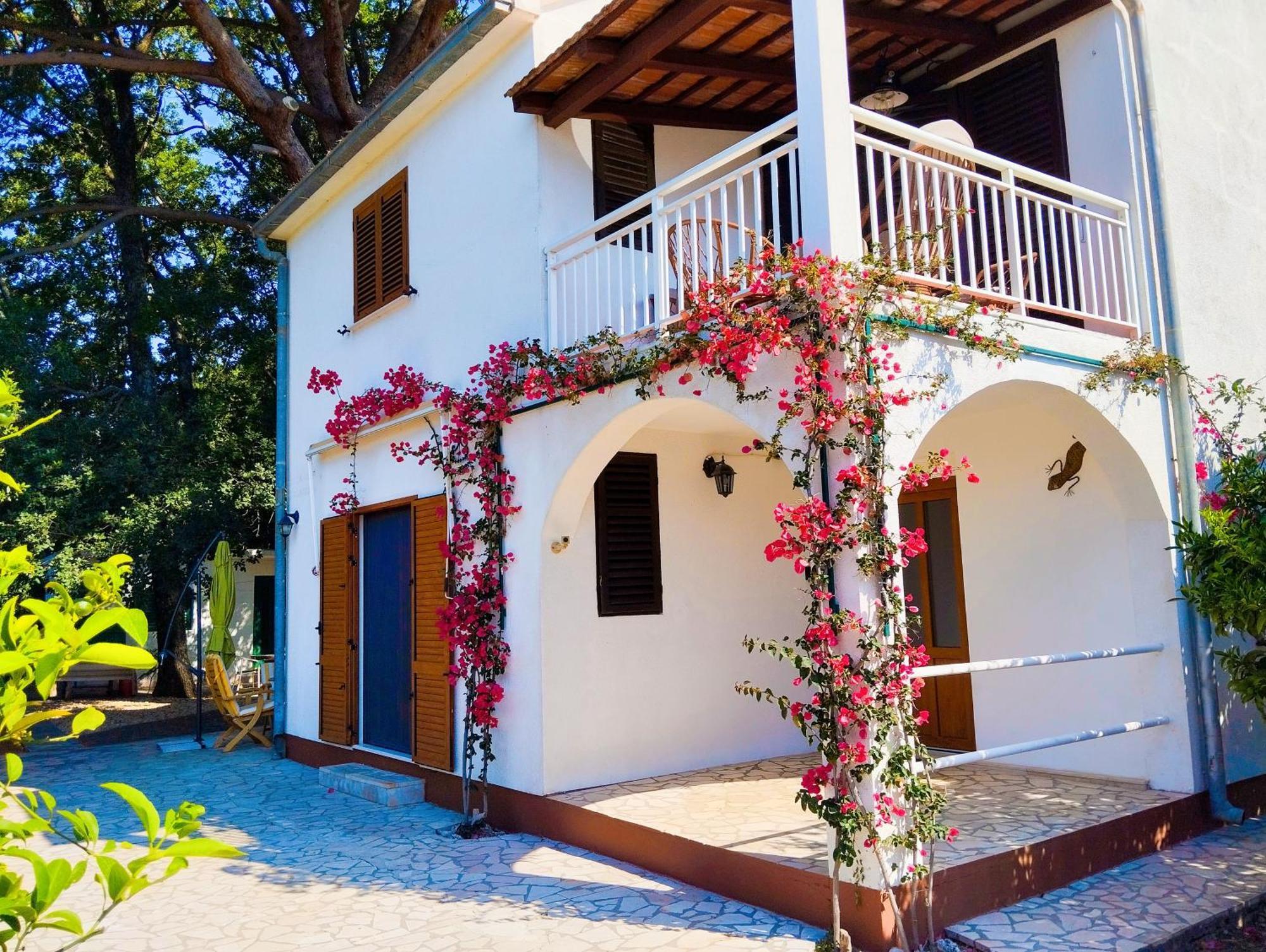 Holiday House Pinus Pinea Вигань Экстерьер фото